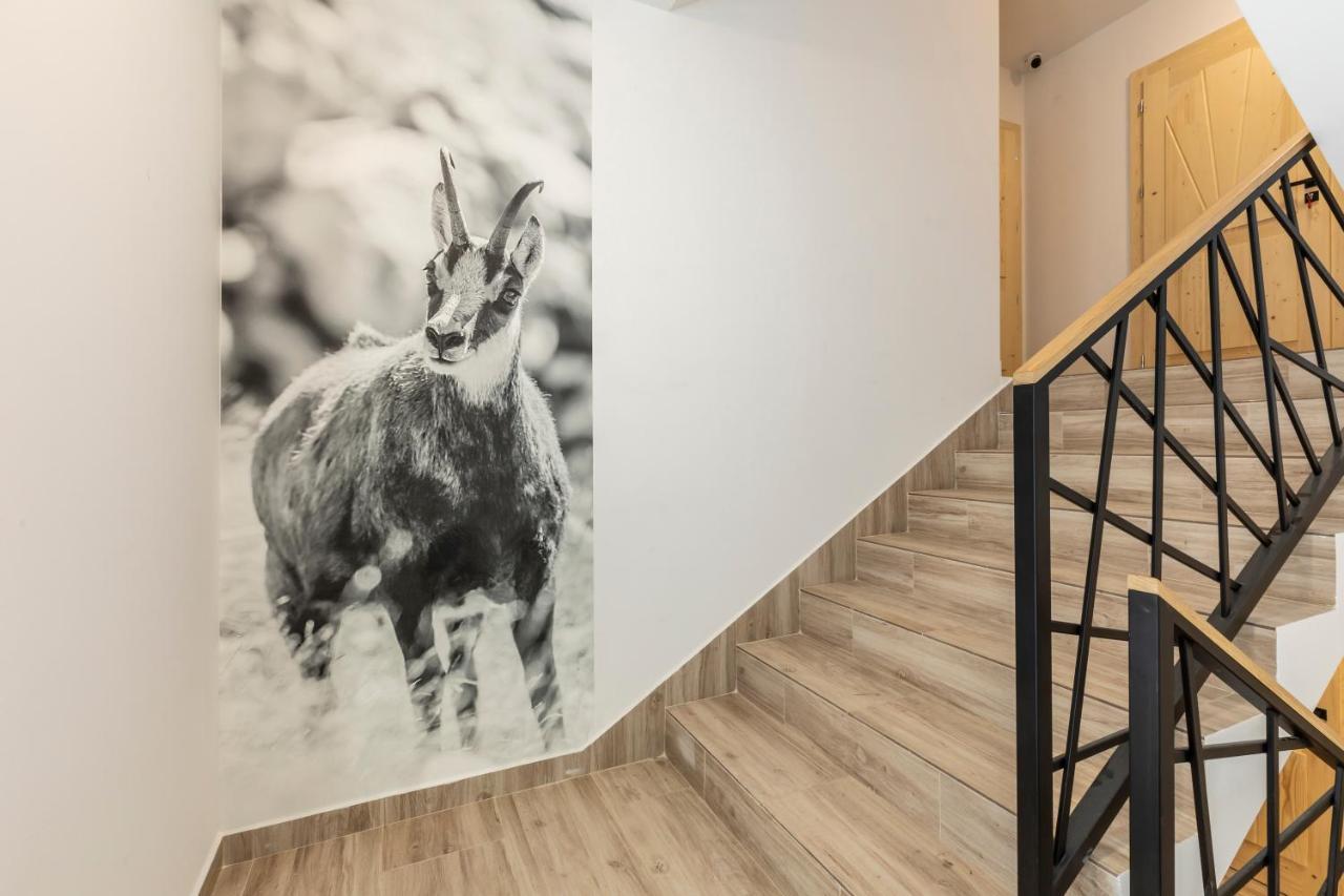 Tatrytop Apartamenty Alpejski Spa Kościelisko Eksteriør bilde